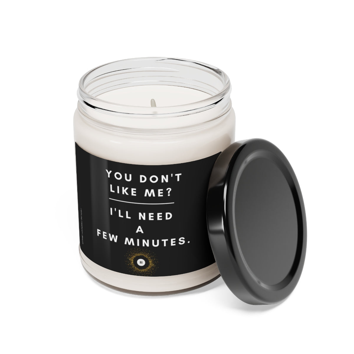 You Don't Like Me Scented Soy Candle